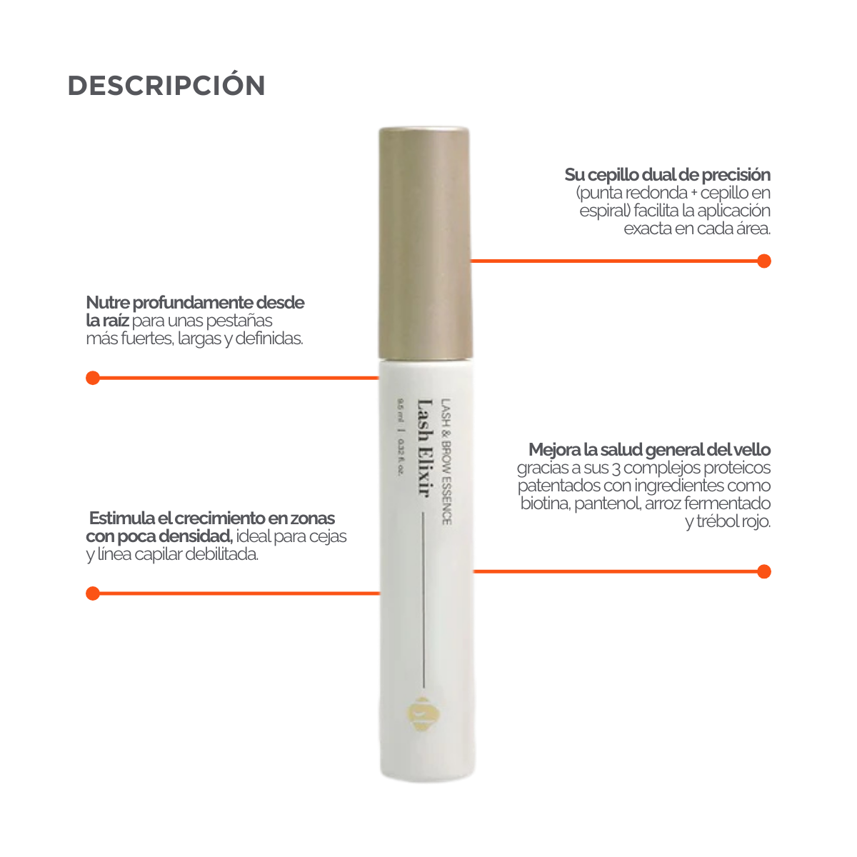 Suero profesional Lash & Brow Essence / Lash Elixir BL Lashes serum fortalecedor para pestañas y cejas premium