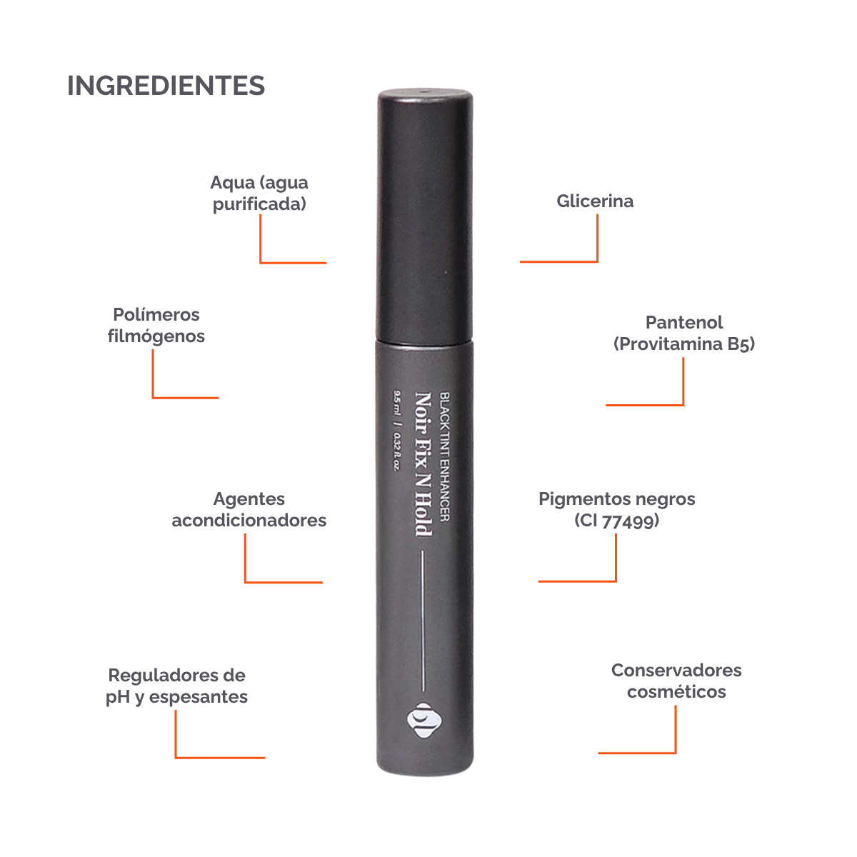 BL Lashes Noir Fix N Hold 9.5 ml fijador negro y sérum para pestañas, extensiones y lash lift