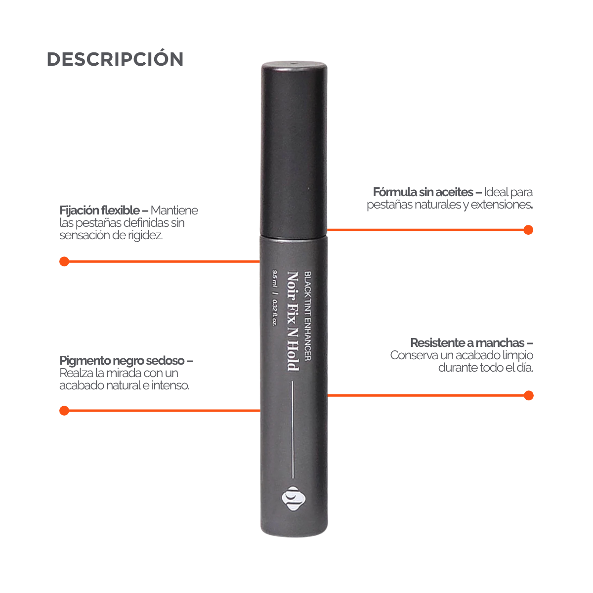 BL Lashes Noir Fix N Hold 9.5 ml fijador negro y sérum para pestañas, extensiones y lash lift